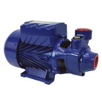 Насос BELAMOS садовый XP 05 L/27л.м., Н 32м, чугун