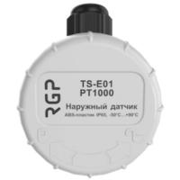 Датчик температуры RGP Standart наружного воздуха TS-E01 PT1000 (IP65, Z-скоба)