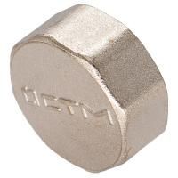 Заглушка РОСТерм