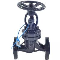 Клапан запорный сталь 15с65нж Ду 50 Ру16 Тмакс-425 оС фл HJCN