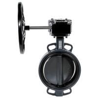 Затвор дисковый поворотный РИДАН ЗДМ 04.16.250 PN16 DN250 корпус GG25, диск - чугун GGG40 , уплотнен