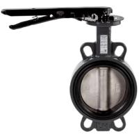 Затвор дисковый поворотный РИДАН ЗДМ 05.16.65 PN16 DN65 корпус GG25, диск - нержавеющая сталь AISI31