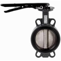 Затвор дисковый поворотный РИДАН ЗДМ 05.16.125 PN16 DN125 корп. GG25, диск - нерж. сталь AISI